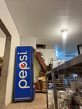 media