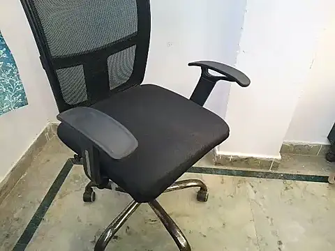media